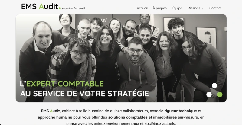 Aperçu du site EMS Audit
